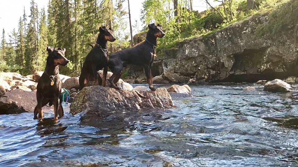 In the mountains