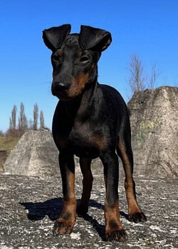 Baby Boomer says ‘hello’