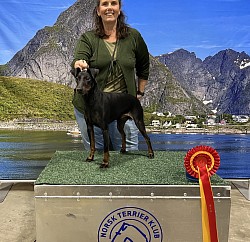 Boss, Best of Breed 15.11.2025, Oslo Dog Show
