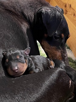 Iris and one of the newborn girls